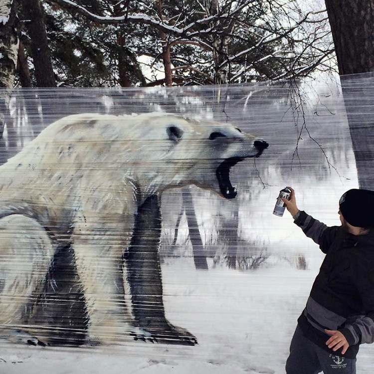kutup ayısı Streç Film ile Grafiti